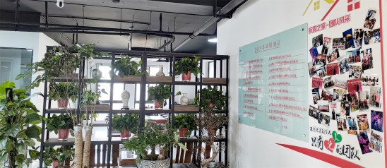 公司内部实景展示